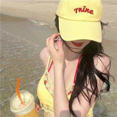 鬣狗之路